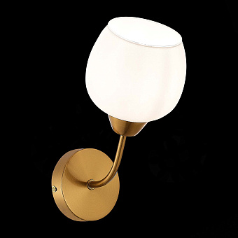 Бра Evoluce TRATTI SLE1136-301-01 60Вт E27