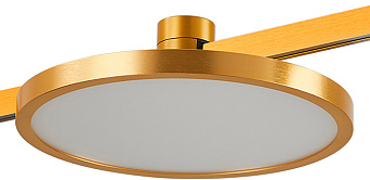 Магнитный трековый светильник ST Luce FARM ST818.206.12 10Вт LED белый