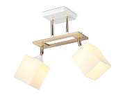 Люстра подвесная Ambrella TRADITIONAL Modern TR9501 240Вт 2 лампочек E27