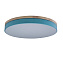 Светильник потолочный Loft It Axel 10001/36 Blue 36Вт LED