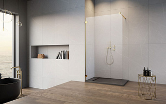 Боковая стенка ESSENZA PRO GOLD Walk-in 50*200 см 10103050-09-01 золото/прозрачное RADAWAY