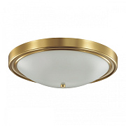 Светильник настенно-потолочный Lumion NINA 5259/4C 240Вт E27