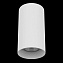 Светильник потолочный Lightstar Rullo 216486 50Вт GU10
