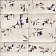 Декор MAINZU Esenzia PT02550 Fabola Blu Mix 15х30см 1кв.м.