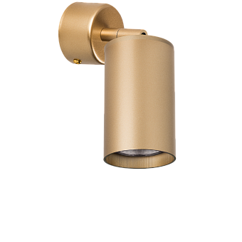 Светильник настенно-потолочный Lightstar Rullo RB4401 50Вт GU10