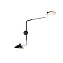 Светильник настенный ST Luce SPRUZZO SL305.401.02 120Вт E27
