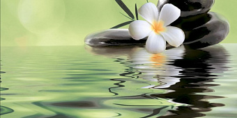 Декор BERYOZA CERAMICA Ливадия 182691 салатный 25х50см 0,875кв.м.