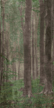 Матовый керамогранит ABK Wide and Style PF60009507 D+ Woods A 280х120см 3,36кв.м.