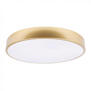Светильник потолочный Loft It Flims 10228/A 24Вт LED
