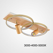 Светильник потолочный ImperiumLOFT Didrika 223836-23 52Вт LED
