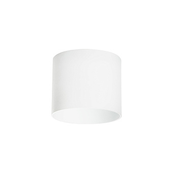 Светильник настенно-потолочный Lightstar Rullo 213486 15Вт GX 5.3