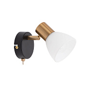 Спот Arte Lamp FALENA A3117AP-1BK 40Вт 1 лампа E14