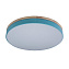 Светильник потолочный Loft It Axel 10001/36 Blue 36Вт LED