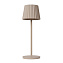 Настольная лампа Lucide JUSTINE 27889/02/38 2Вт LED