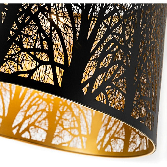 Светильник подвесной Arte Lamp CELESTA A2769SP-1BK 60Вт E27