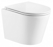 Унитаз подвесной Azario FONTI AZ-402W безободковый с микролифтом