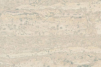 Пробковый пол CORKSTYLE CORK PRO-LOCK 915х200х11мм Comprido Milk Comprido Milk 0,92кв.м