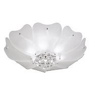Светильник потолочный Lightstar Lobo 804020 240Вт G9