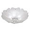 Светильник потолочный Lightstar Lobo 804020 240Вт G9