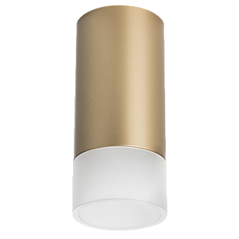 Светильник настенно-потолочный Lightstar Rullo R44031 50Вт GU10