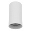 Светильник потолочный Lightstar Rullo 216486 50Вт GU10