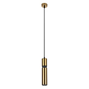 Светильник подвесной Arte Lamp RAN A3145SP-1PB 50Вт GU10