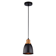 Светильник подвесной Arte Lamp EURICA A4248SP-1BK 60Вт E27