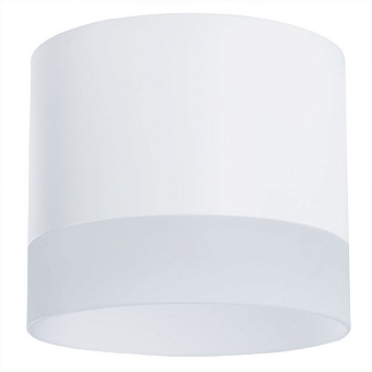 Светильник потолочный Arte Lamp CASTOR A5554PL-1WH 15Вт GX53