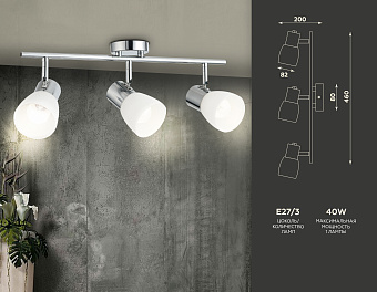 Светильник настенно-потолочный Ambrella Traditional TR3965 400Вт E27