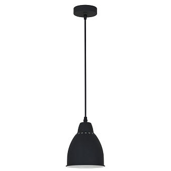 Светильник подвесной Arte Lamp BRACCIO A2054SP-1BK 60Вт E27