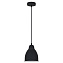 Светильник подвесной Arte Lamp BRACCIO A2054SP-1BK 60Вт E27
