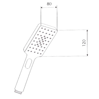 Ручной душ Paini Ravenna RVCR155 хром