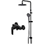 Набор смесителей AM-PM Gem F42890A24 чёрный