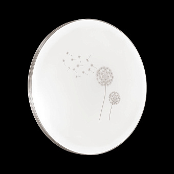 Светильник настенно-потолочный Sonex Airita 3005/EL 72Вт LED