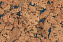 Настенная пробка CORKSTYLE WALL DESIGN Monte Blue MONTE BLUE 600х300х3мм 1,98кв.м