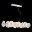 Люстра подвесная ST Luce ELSA SL1658.113.12 60Вт 12 лампочек G9