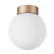 Светильник настенно-потолочный Lightstar Globo 812013 40Вт E14