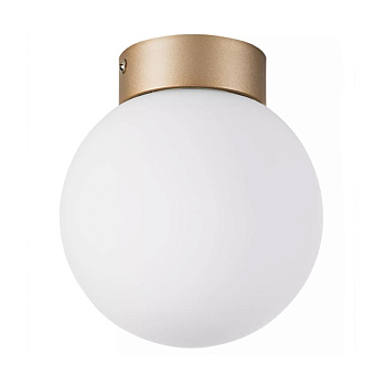 Светильник настенно-потолочный Lightstar Globo 812013 40Вт E14
