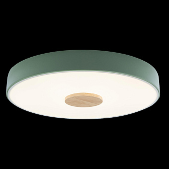 Светильник потолочный Loft It Axel 10003/24 Green 24Вт LED