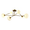 Светильник потолочный Evoluce FANTINI SLE2211-302-06 30Вт G9
