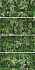 Декор ABK Wide and Style PF60003728 D+ Cp Secret Garden 240х120см 11,52кв.м.