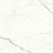 Лаппатированный керамогранит Atlas Concord Италия Marvel Shine A4QT Calacatta Prestigio Lappato 60х60см 1,08кв.м.