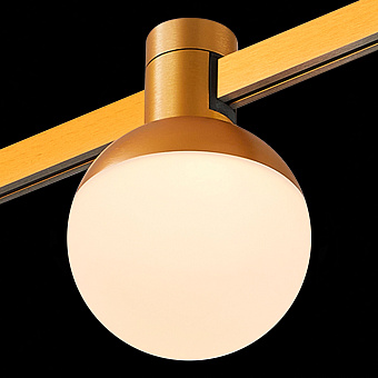 Магнитный трековый светильник ST Luce FARM ST815.206.05 5Вт LED белый