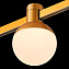 Магнитный трековый светильник ST Luce FARM ST815.206.05 5Вт LED белый