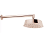 Верхний душ Cisal Cherie DS0136007E розовое золото