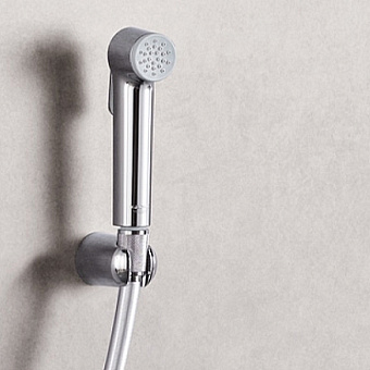 Гигиенический душ GROHE Tempesta-F 26356IL0 белая луна