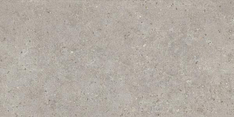 Матовый керамогранит KERAMA MARAZZI Риккарди SG519920R серый светлый матовый 60х119,5см 2,151кв.м.