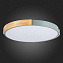Светильник потолочный Evoluce DELIA SLE201372-01 40Вт LED