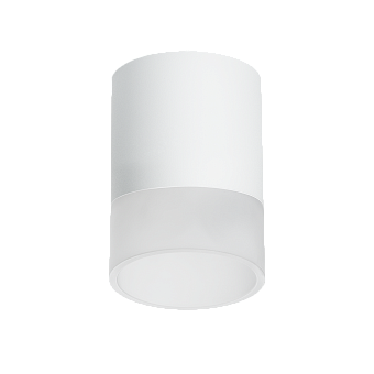 Светильник настенно-потолочный Lightstar Rullo R348681 15Вт GX 5.3