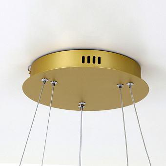 Люстра подвесная Favourite Giro 2937-10P 54Вт 1 лампочек LED